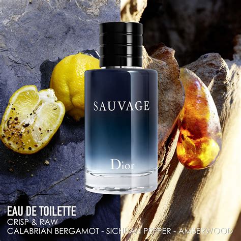 maschera dior sauvage|dior sauvage eau de toilette.